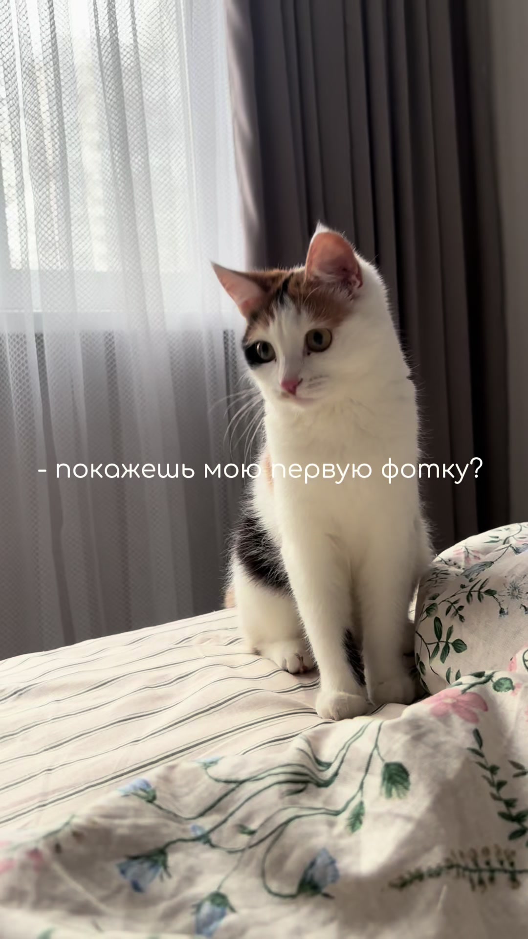 @olesya