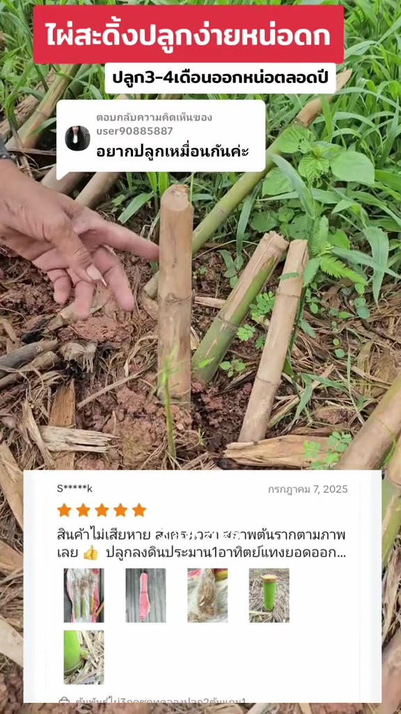 @นัดดาชอป