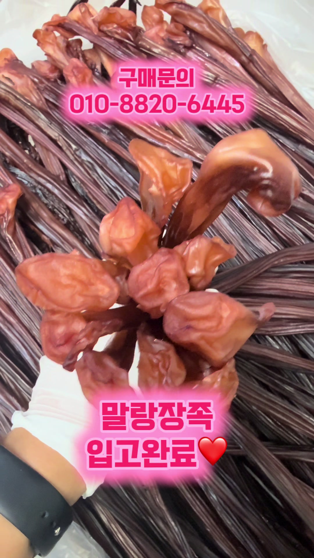 @숭사장건어물(숭사장오징어)🦑