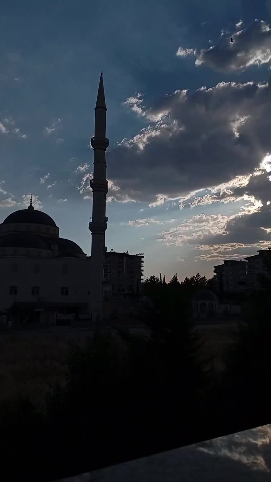 @aşçı hanım