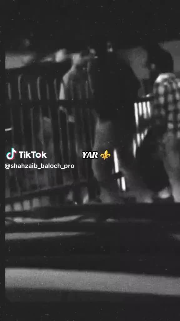 @🕷️