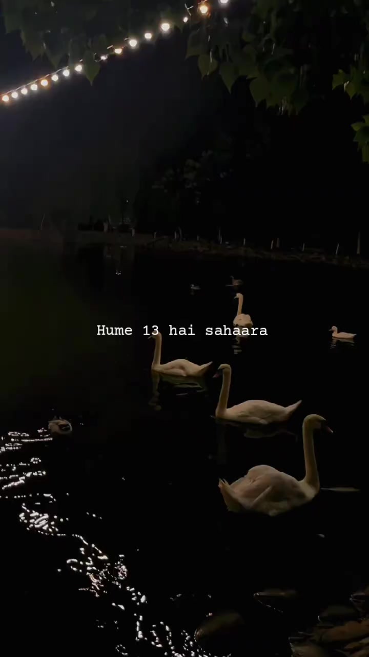 @ش؟ 𓍢ִ໋🌷͙֒