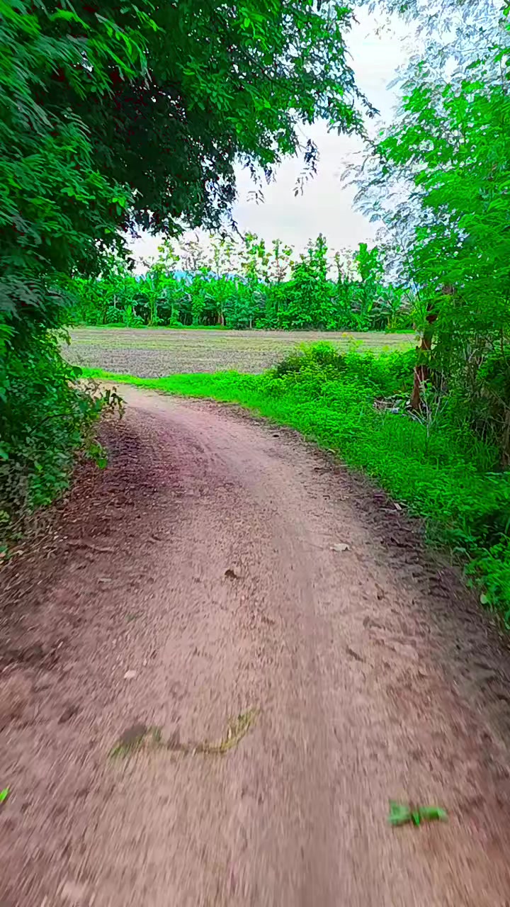 @Kaung Khant Hein (MSTN)