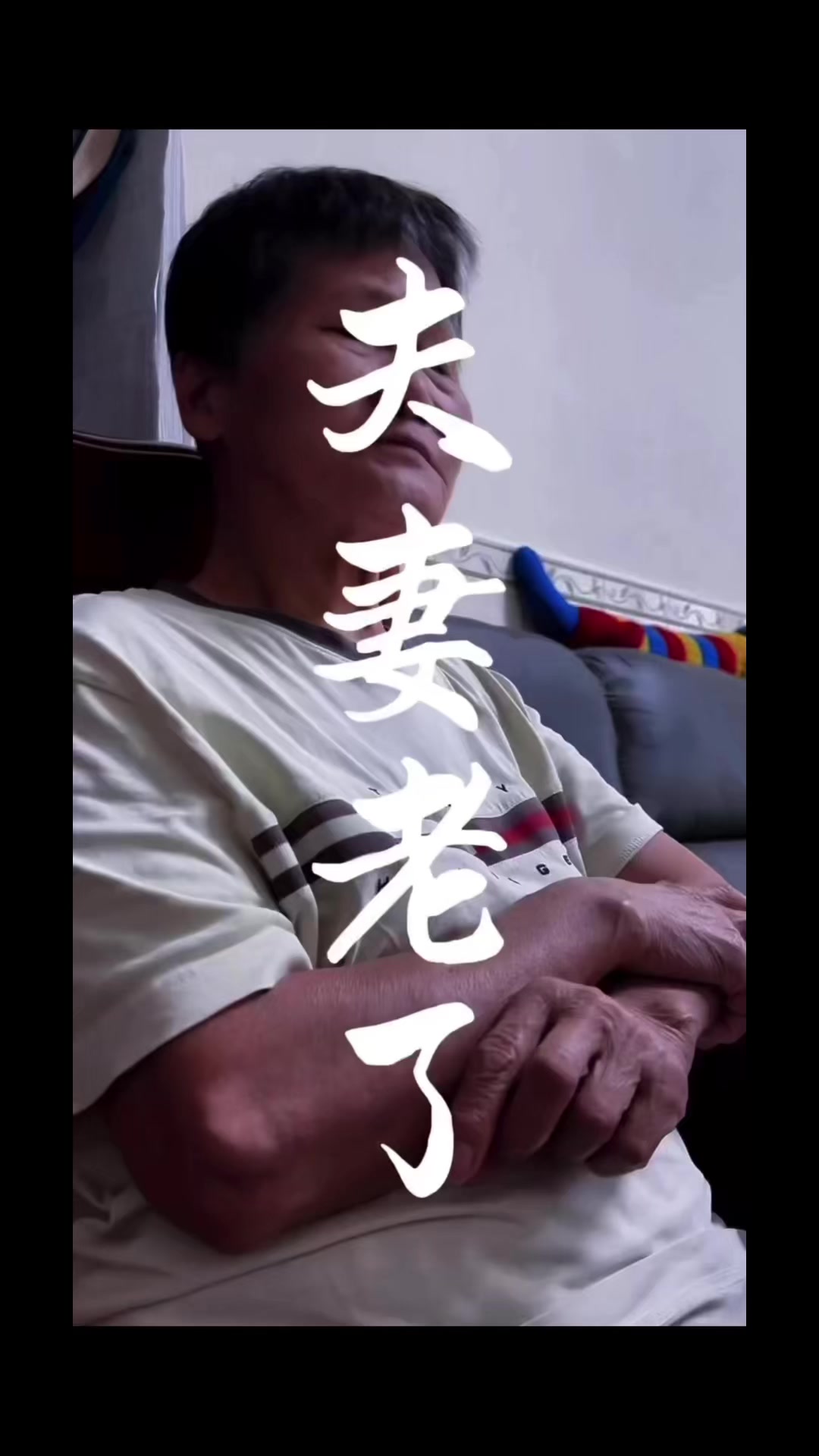 @陳皮