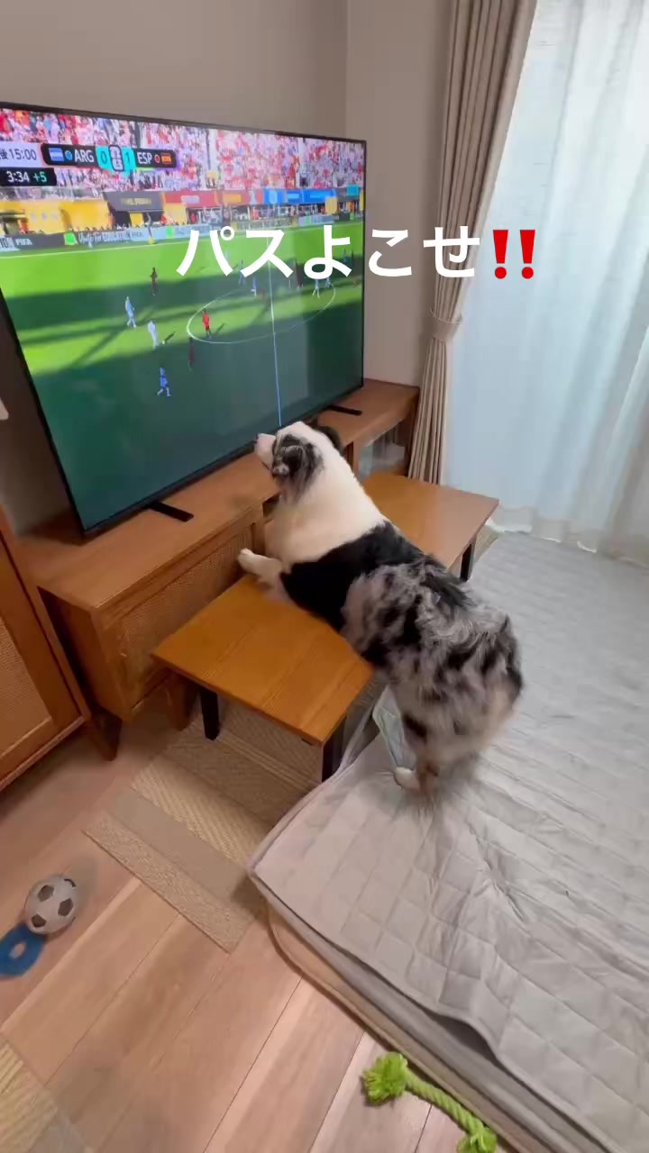 @サン&タマ