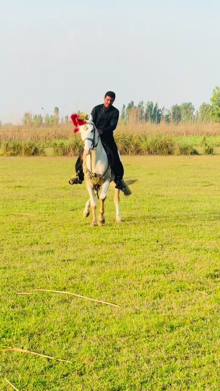@ہارون گجّر کلیوال سیداں
