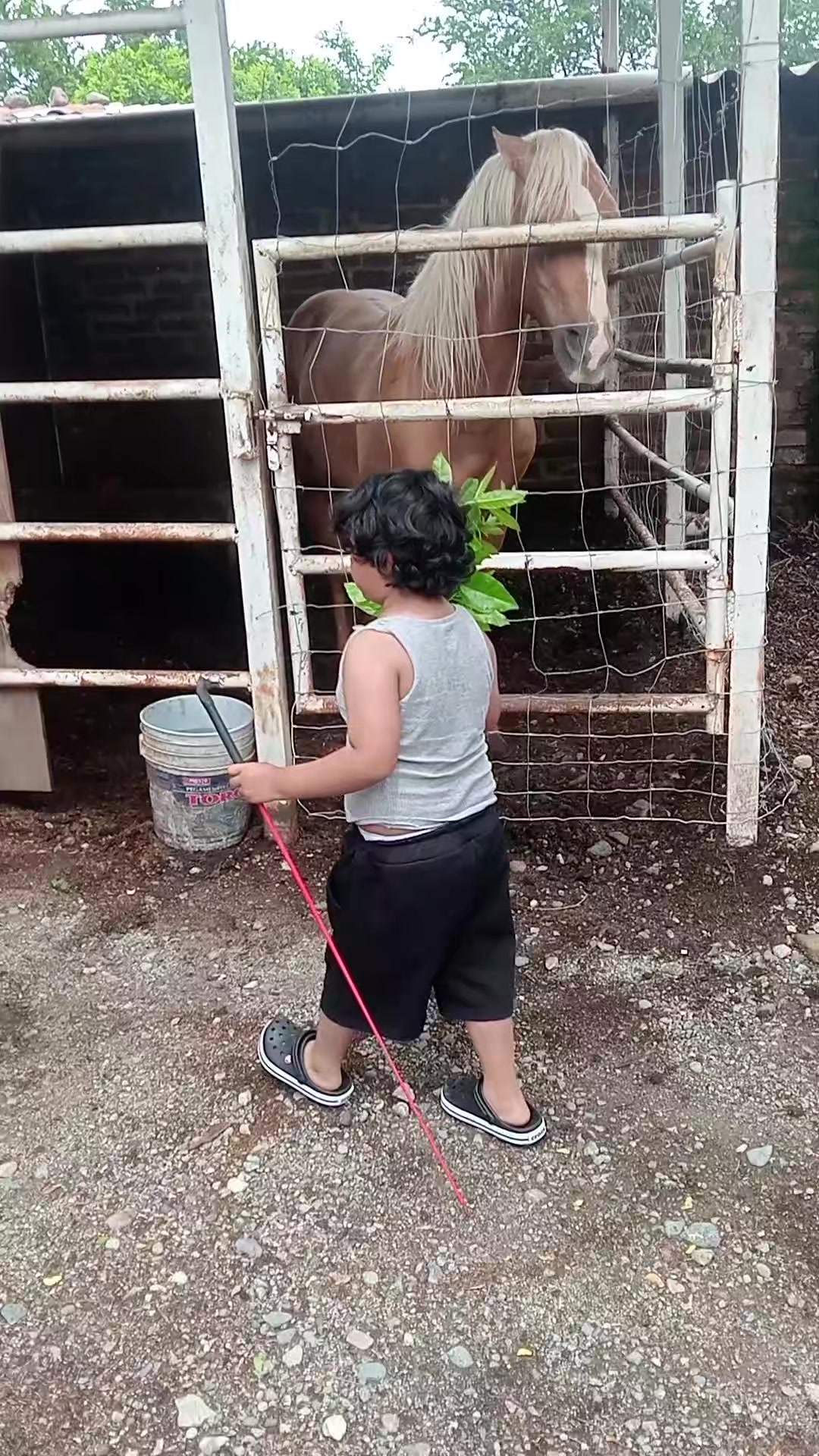 @korita zepeda