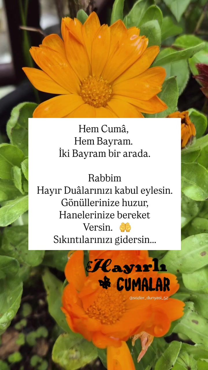@muzaffertoprakcı