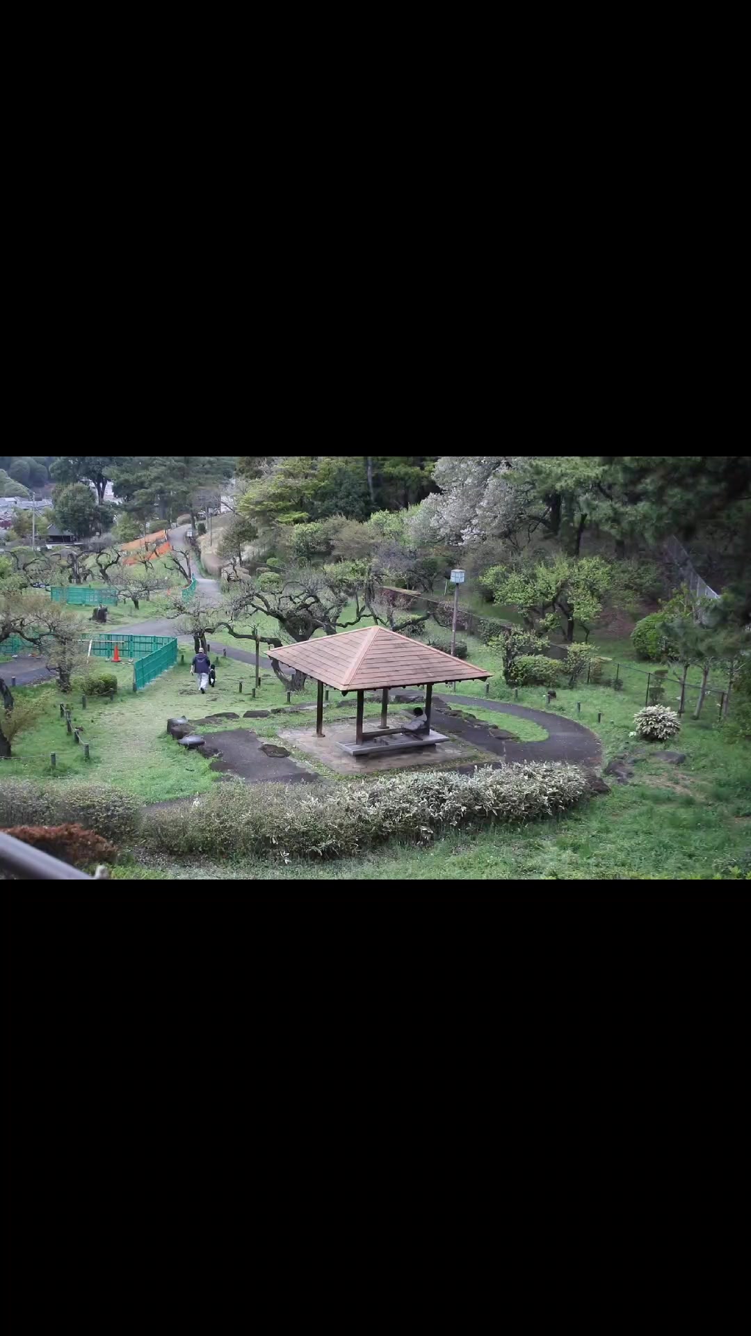 @Shiva 🇯🇵