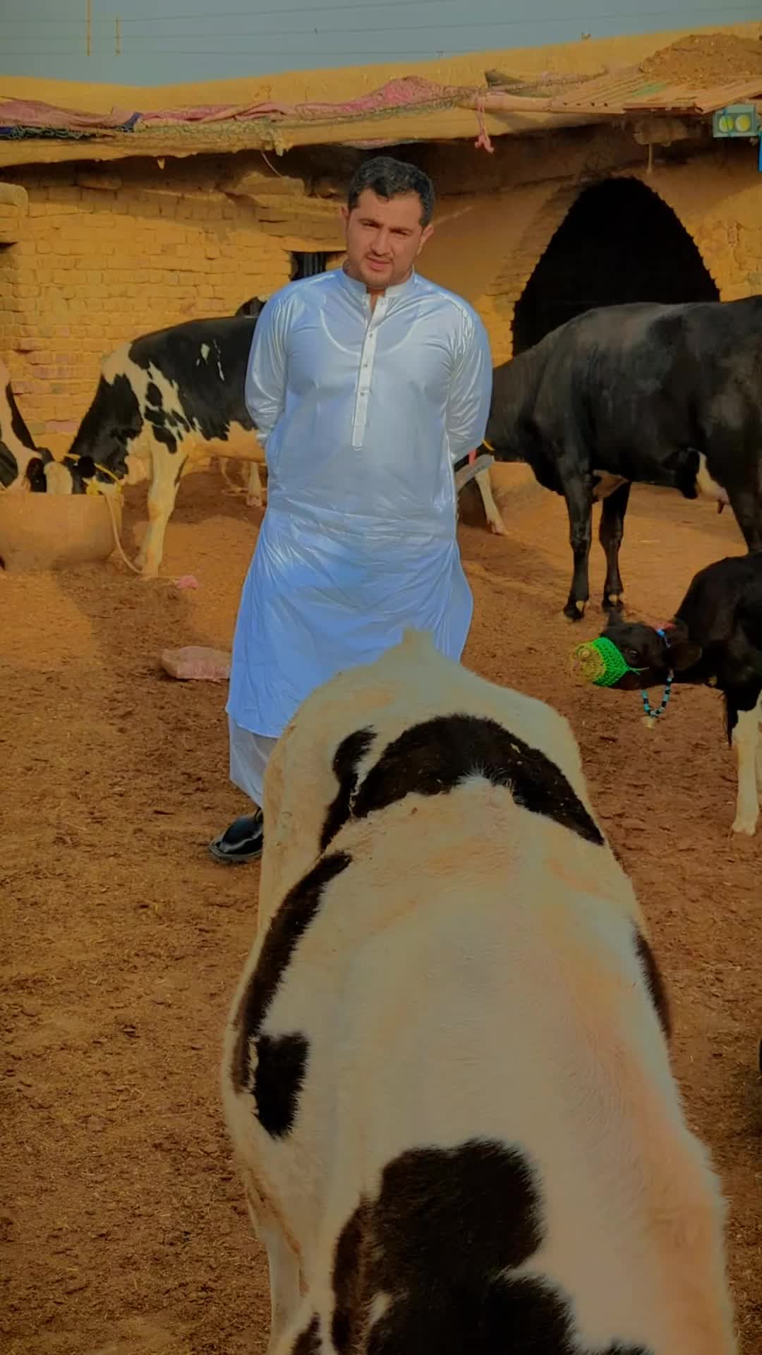 @Tayeb khan Sanzar