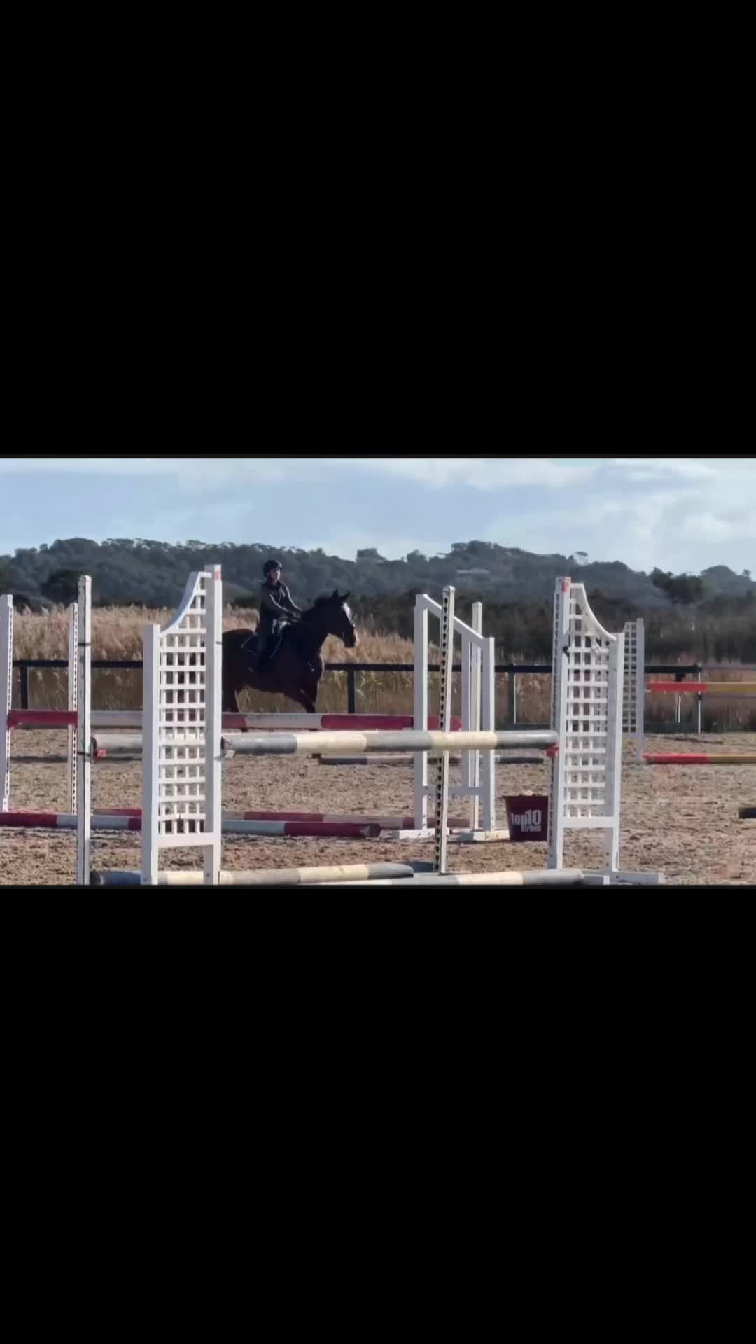 @Imi_.equestrian