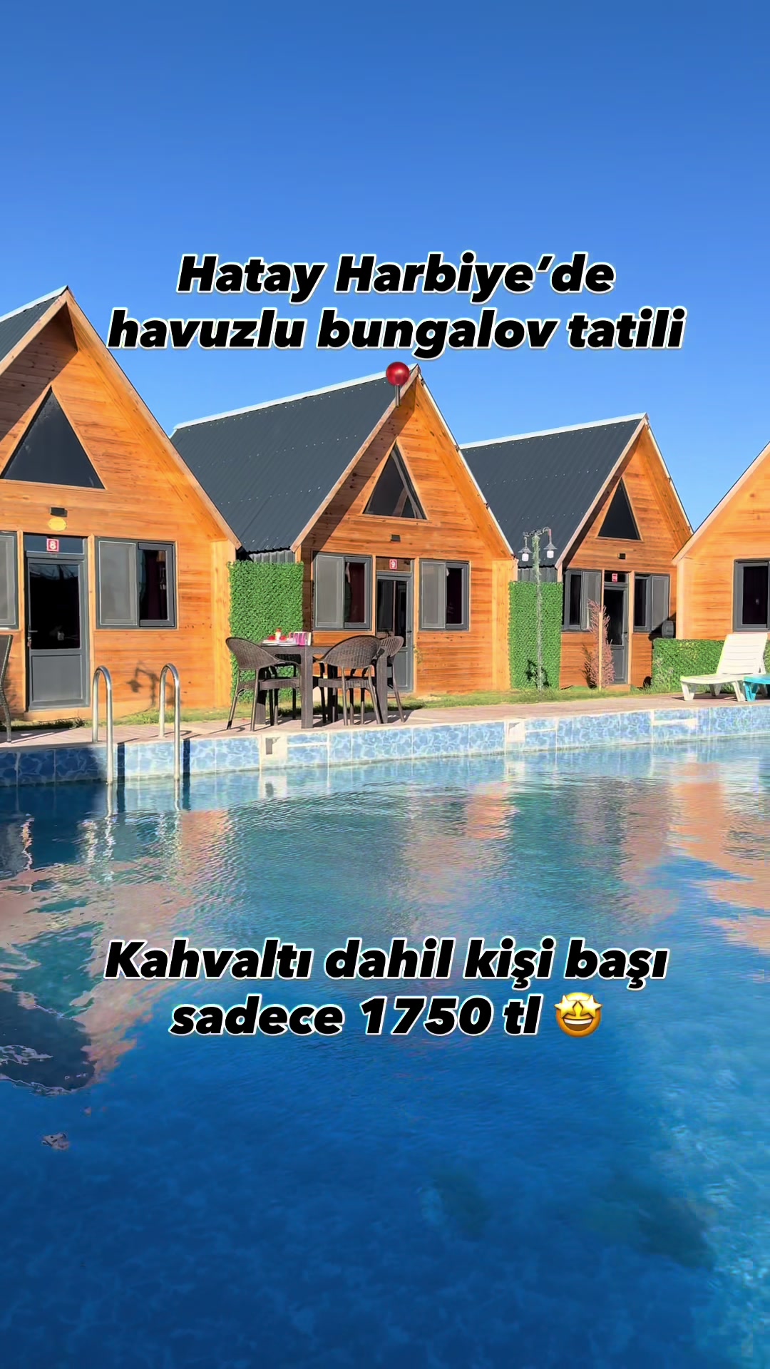 @arzu_homee