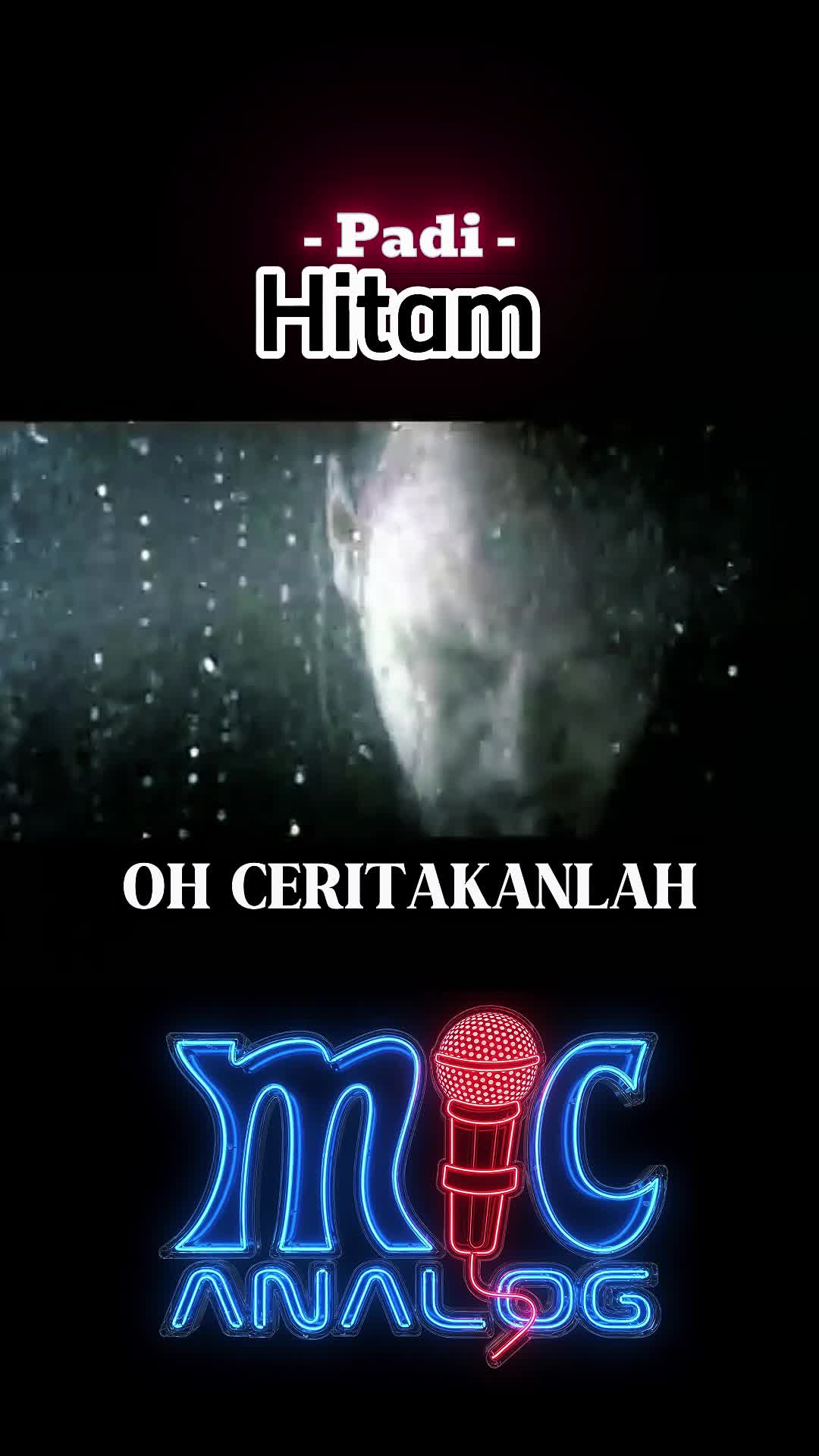 @mic analog