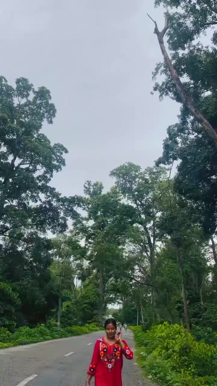 @kalpanaxettri908