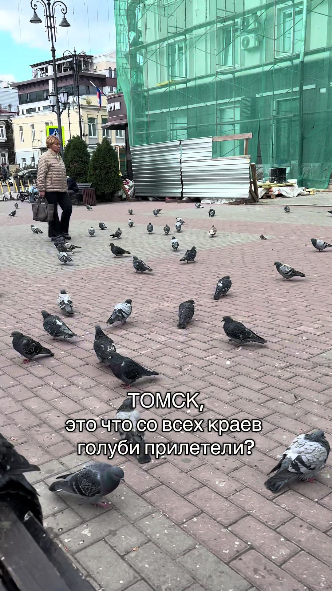 @тгк: соник без впн