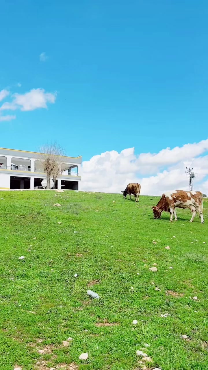 @Ahmet KARAKAŞLI