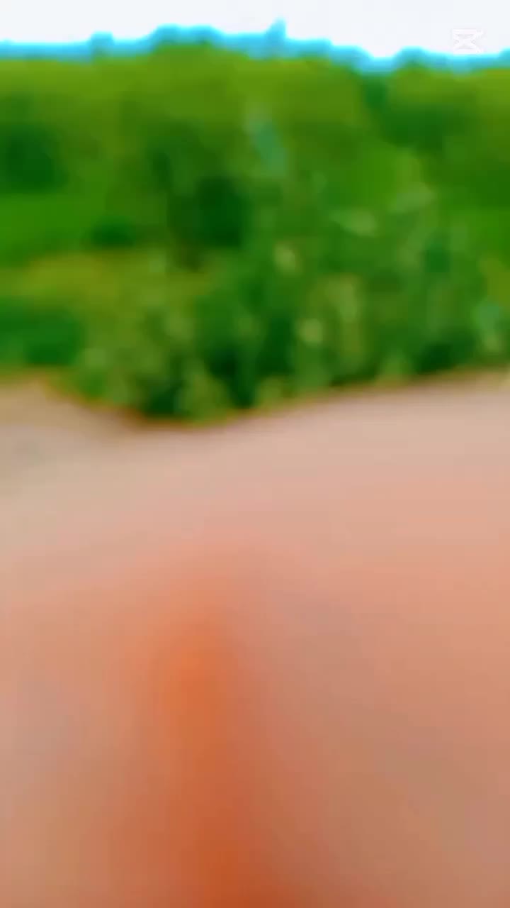 @zidiqueen