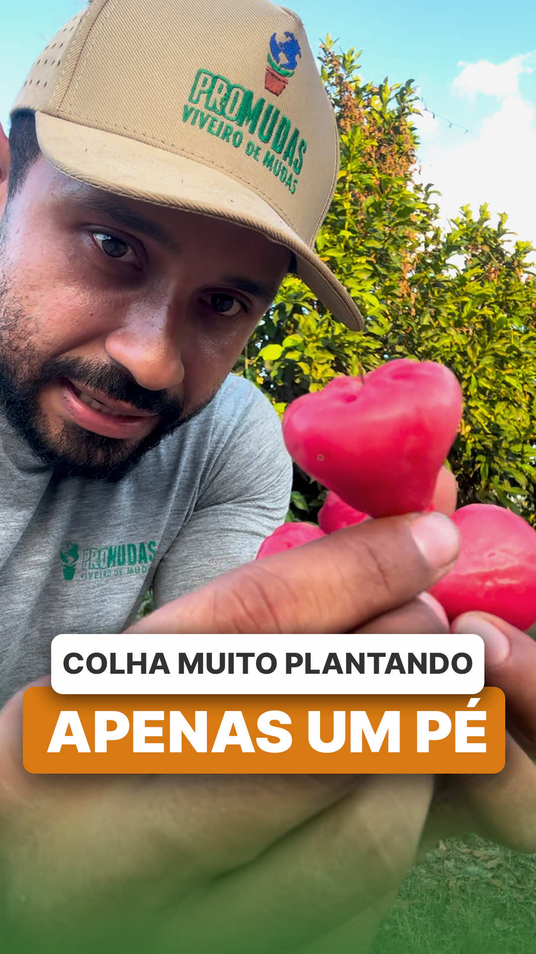 @ViveiroProMudas