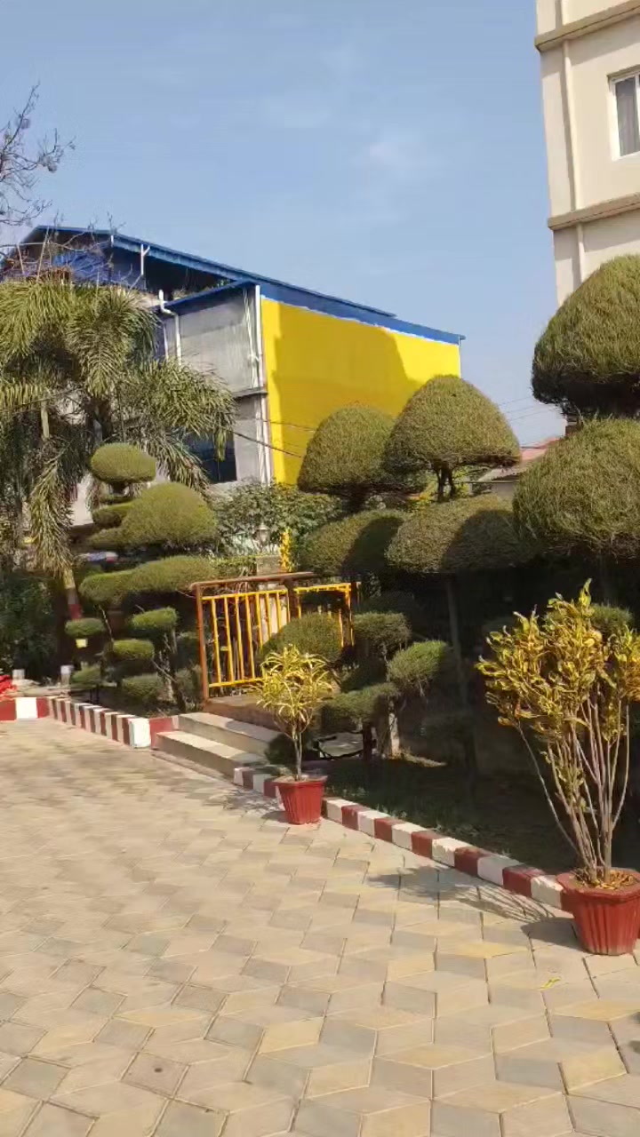 @mss  pandey