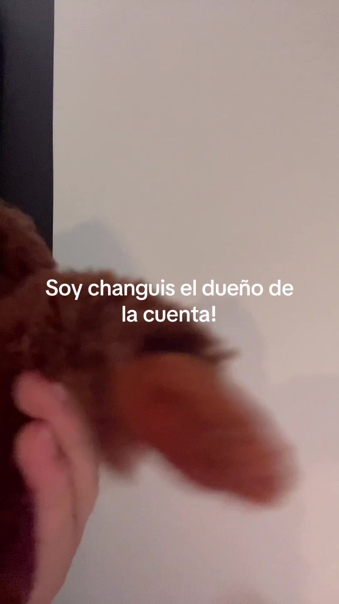 @changos_con_piojos