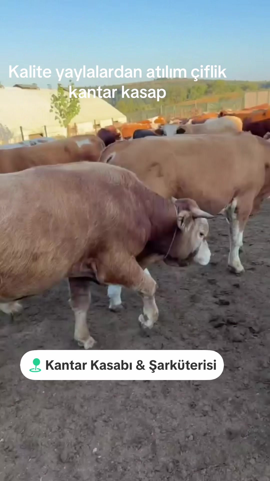 @Necmettin Kantar