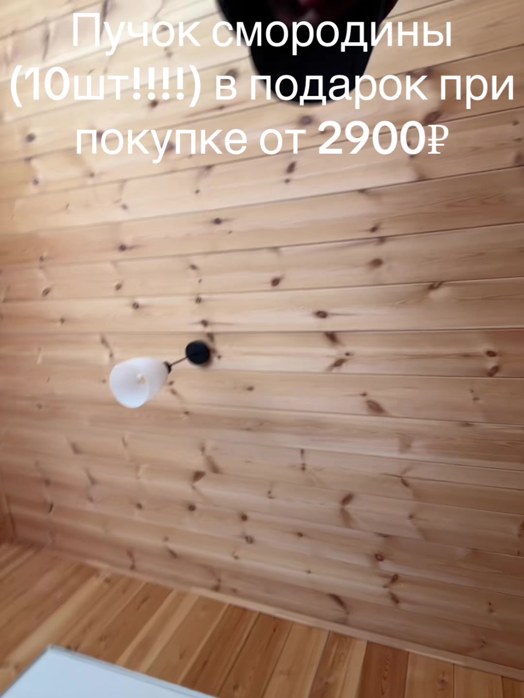 @kisa2003