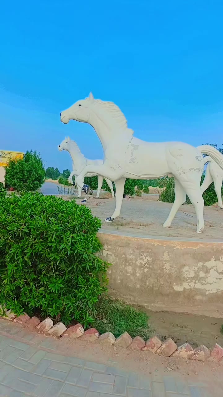 @محبتی لوگ 🥷
