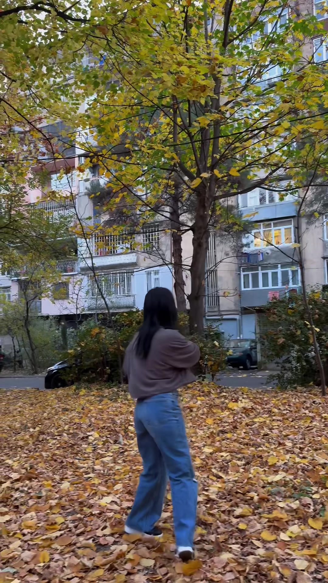 @დიანა გვიანიძ’ე💜💫🌸