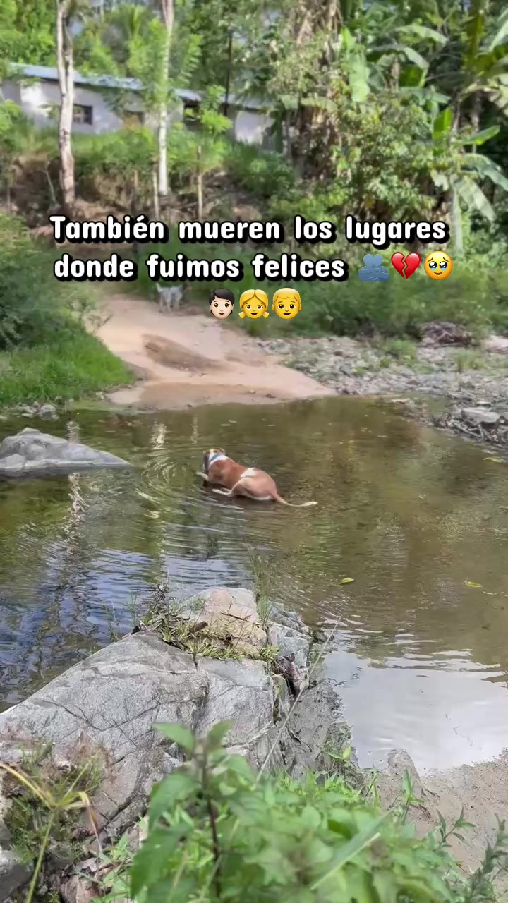 @ Pf. Estrella 🎀 