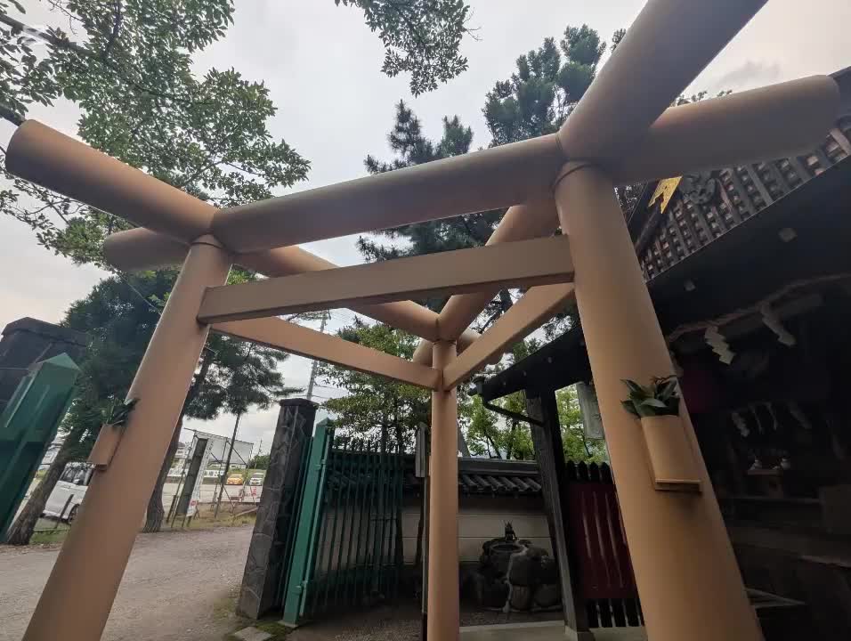 @自由人