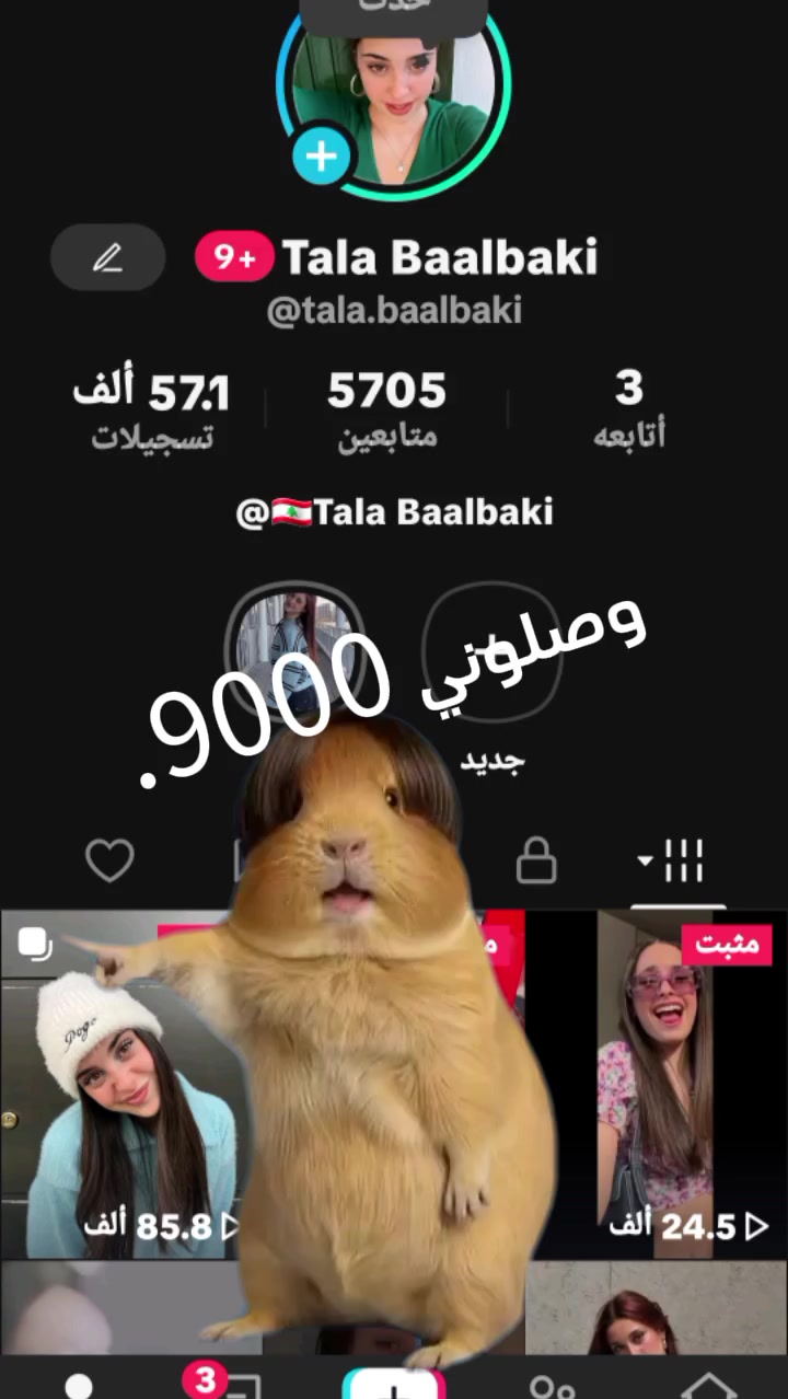 @Tala Baalbaki