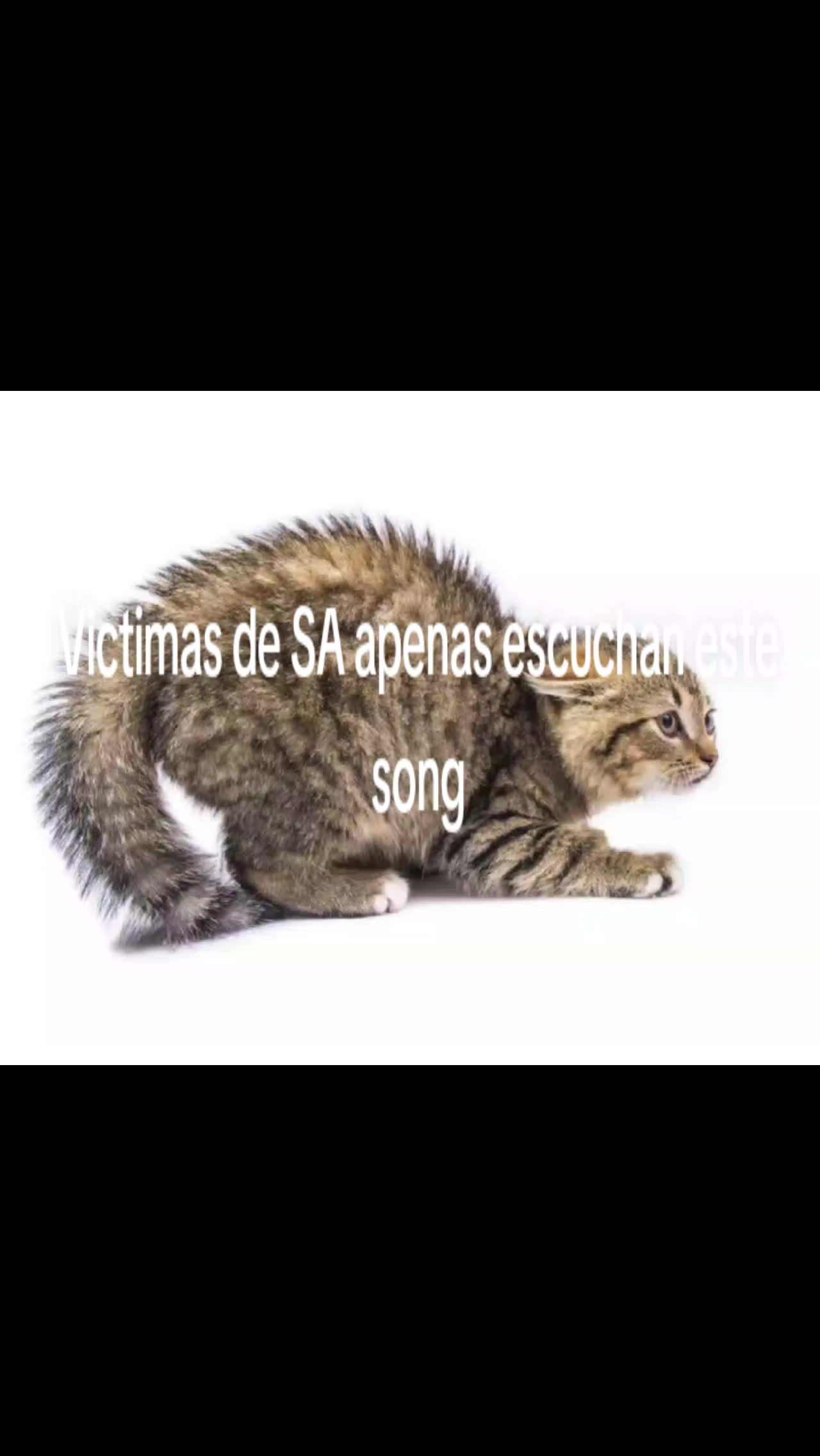 @&iexcl;★!🌎ᐖ𖤐꙳٭&bull;𝗍ᥱrrᥲzᥲ&bull;٭꙳𖤐ᐖ🌎!★&iexcl;