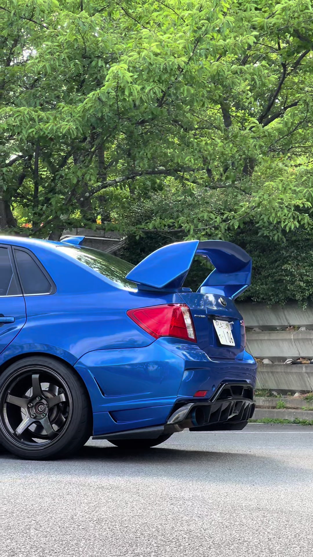 @ﾁﾑ(ง ˘&omega;˘ )วﾁﾑ