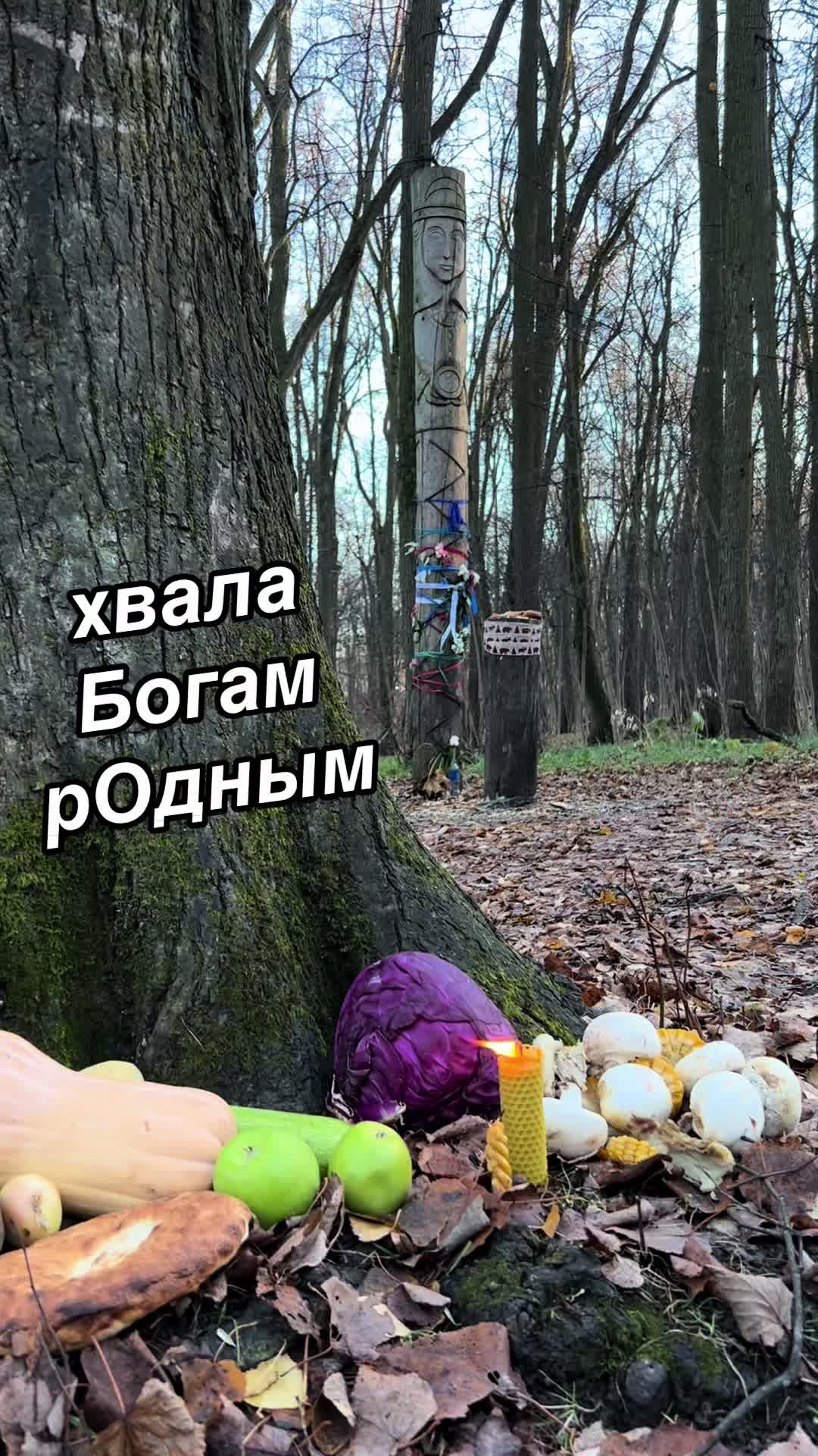 @Witch_craft