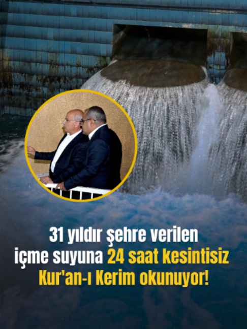 @Mynet