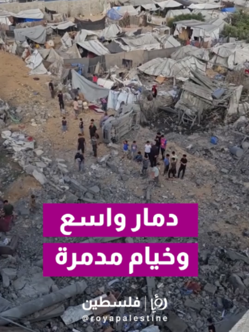 @Royapalestine رؤيا فلسطين