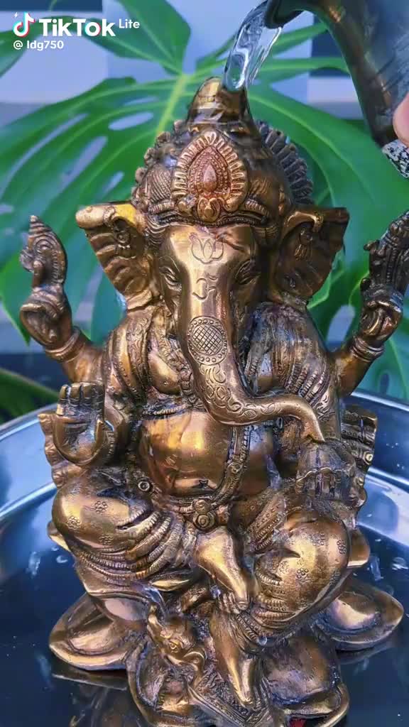 @selvinamudali