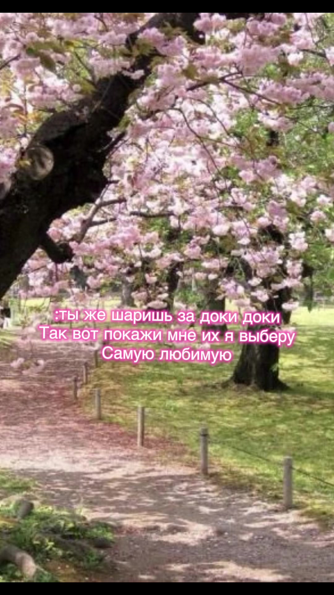 @Sua
