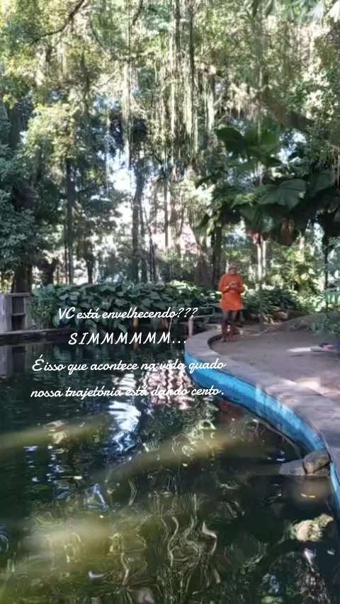 @elisabetemoura962