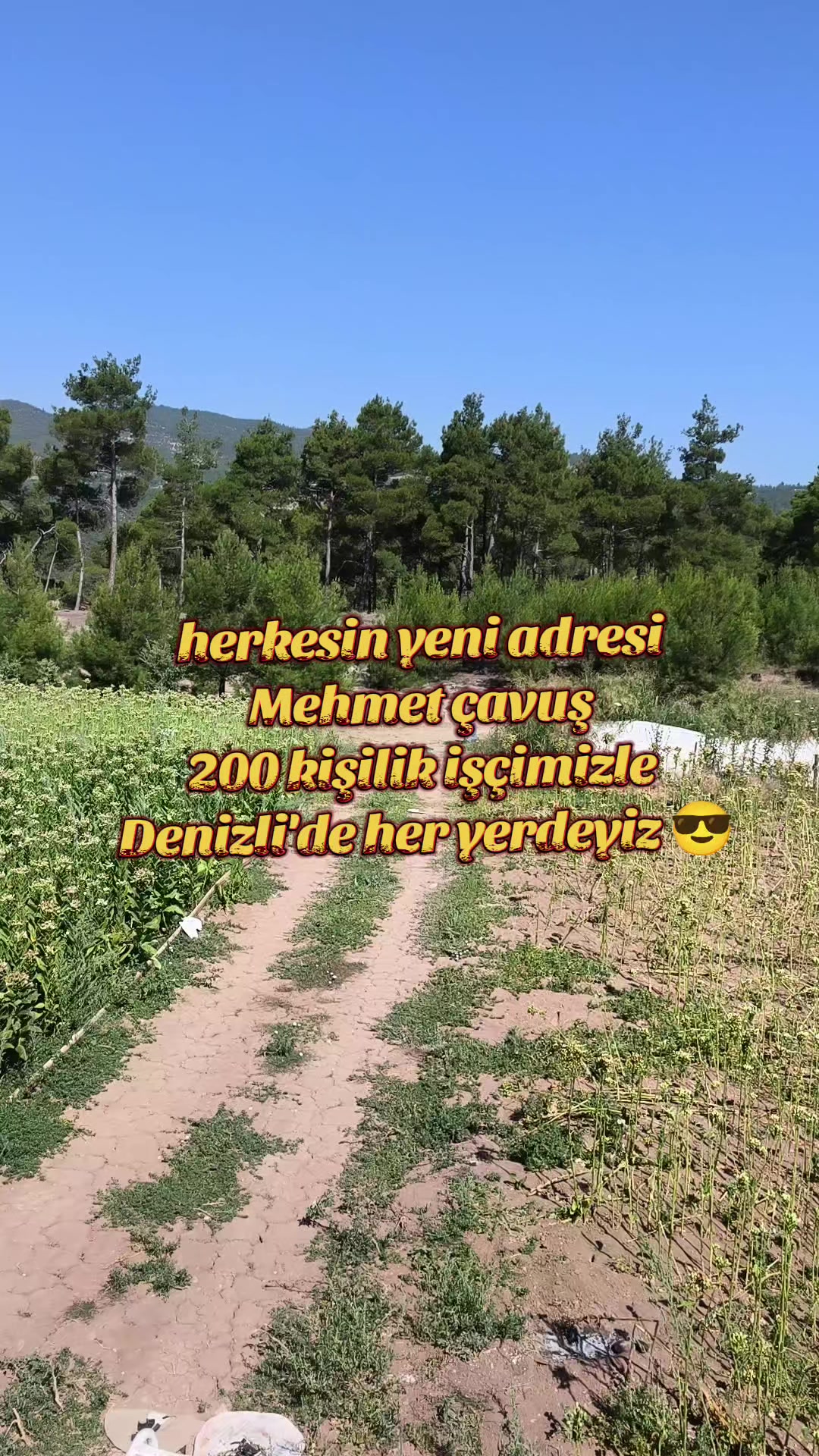 @Aslan bey