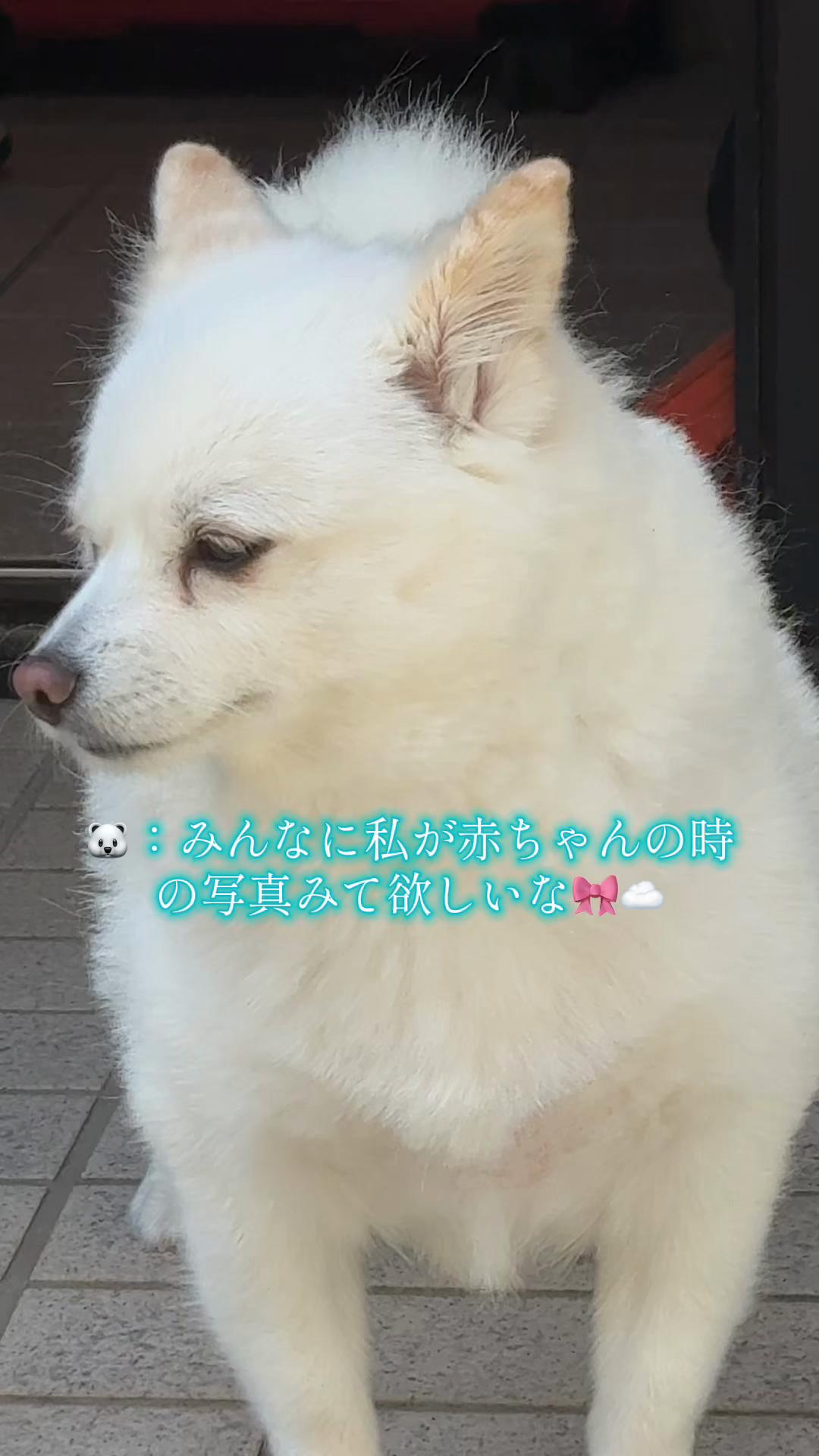 @bellaver🐻&zwj;❄️