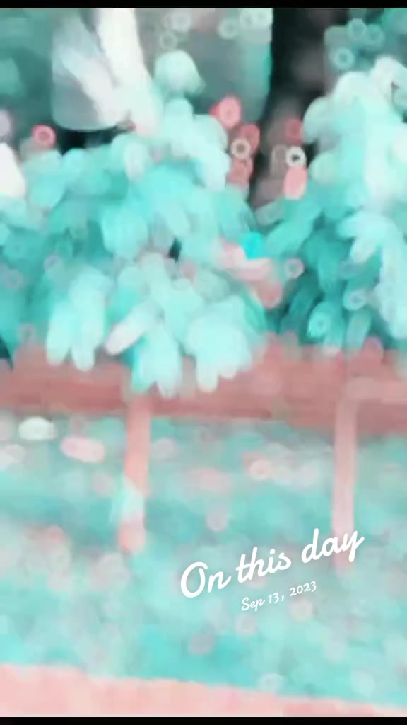 @Ashak..🙂🥷