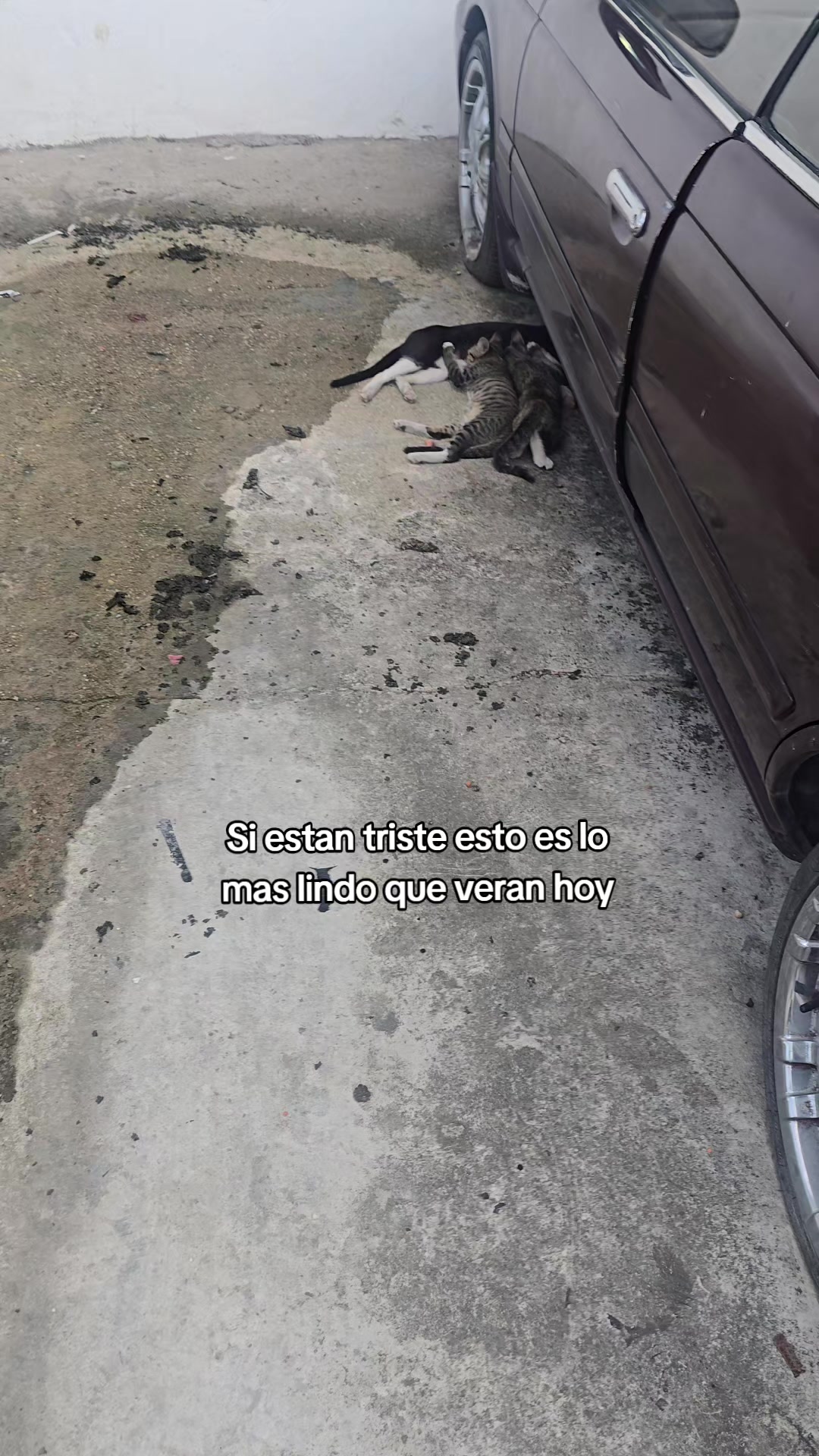 @Lori Rojas
