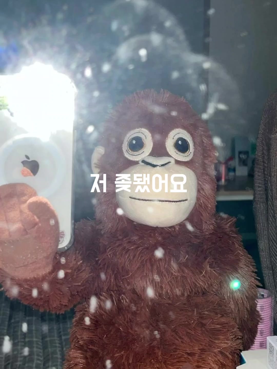 @개새ᐕ