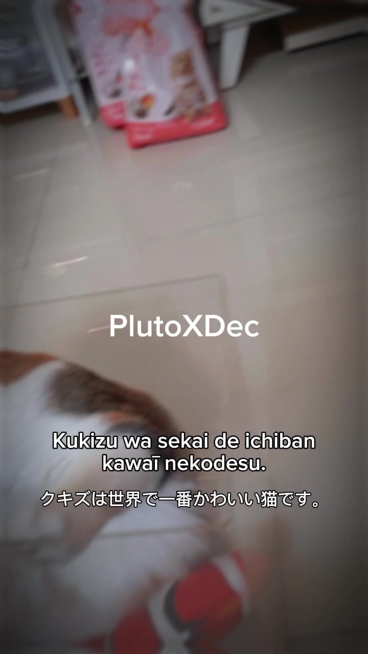 @PlutoXDec 🎭🇮🇩