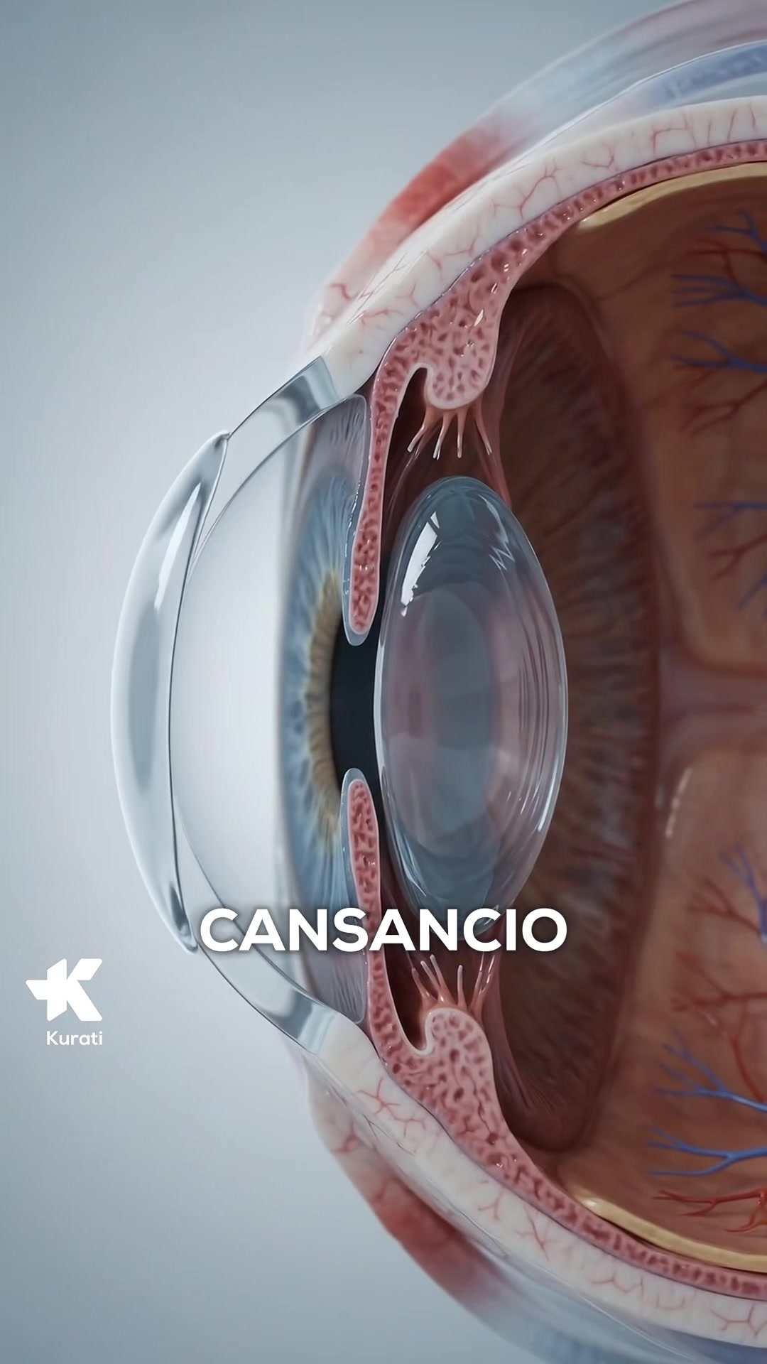 @Kurati | Oftalmolog&iacute;a