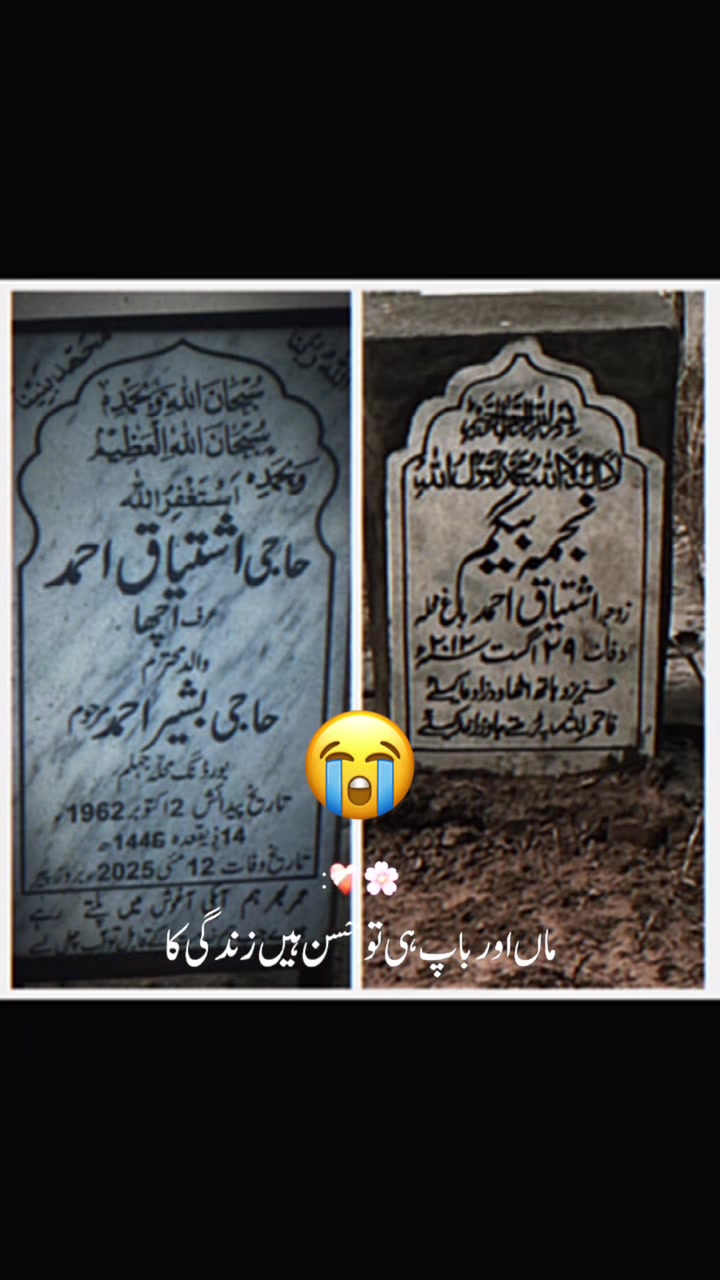 @sheikhmushtaqqureshi