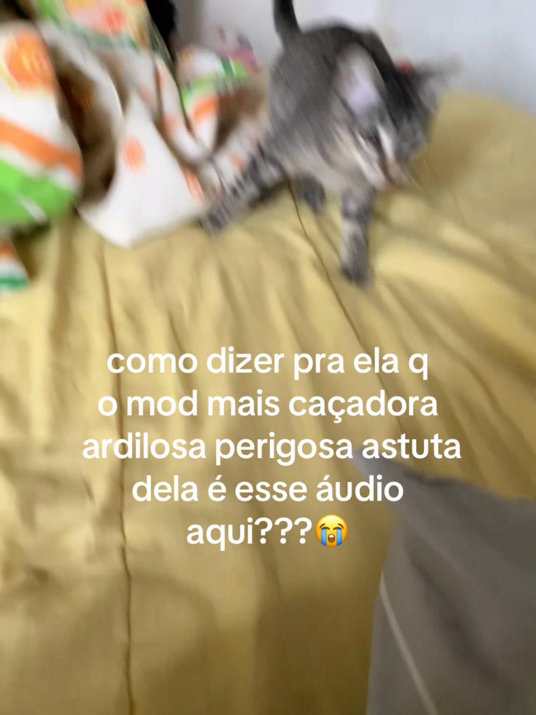 @★ su