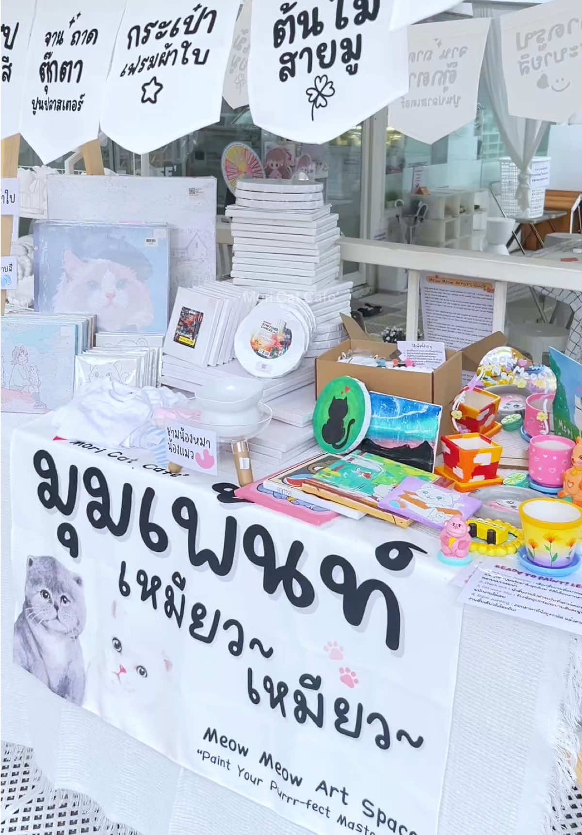@คาเฟ่แมวโมริ Mori cat cafe'