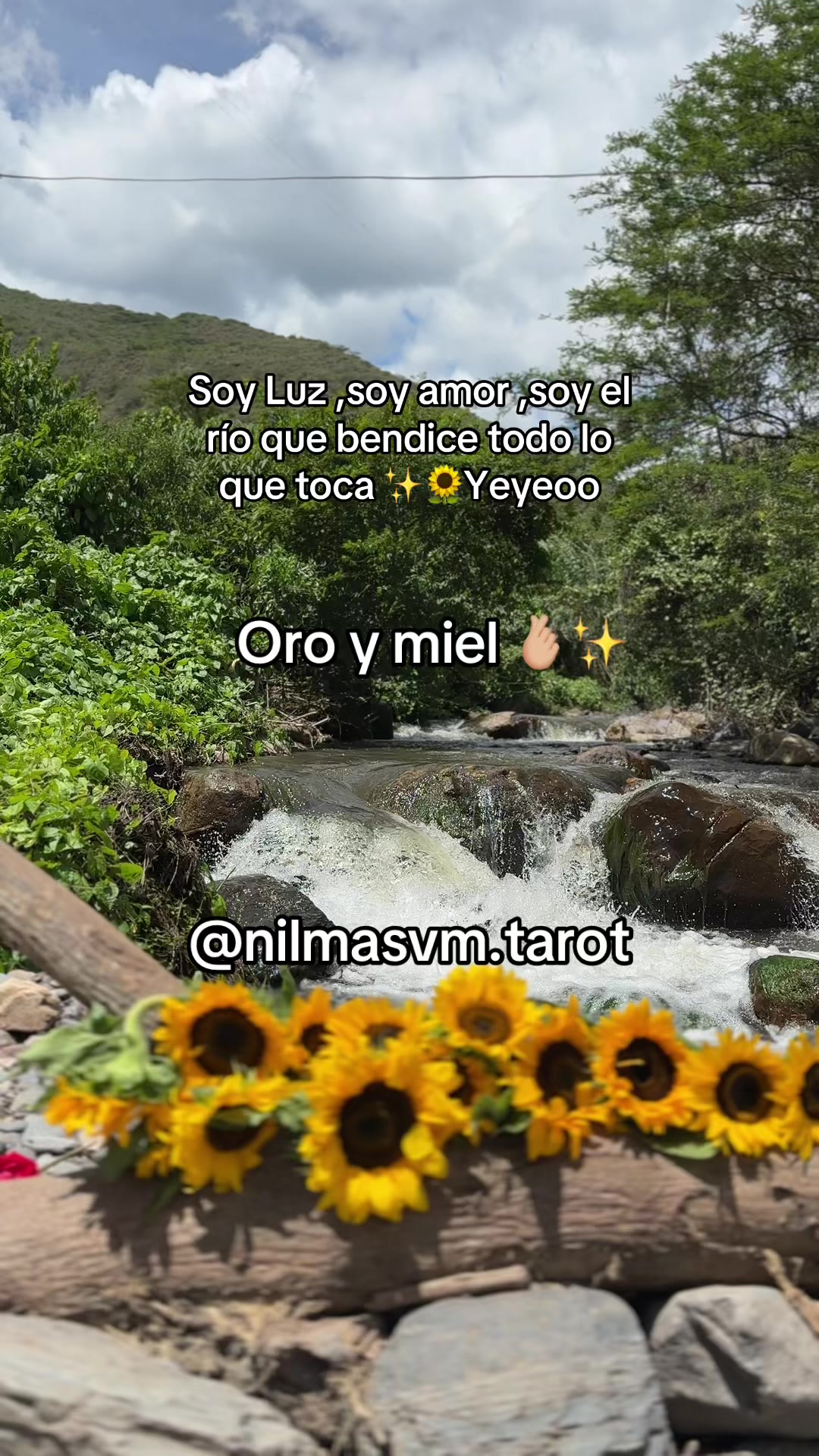 @Nilmasvm 🍓